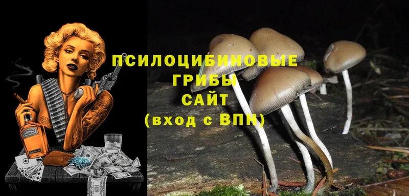 blacksprut как войти  Среднеколымск  Галлюциногенные грибы Cubensis  наркошоп 